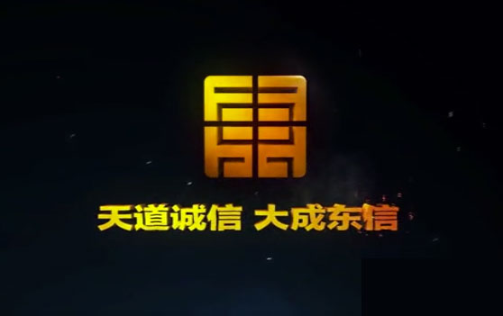 東信國際房地產(chǎn)項(xiàng)目宣傳片